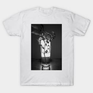 stick in glass T-Shirt